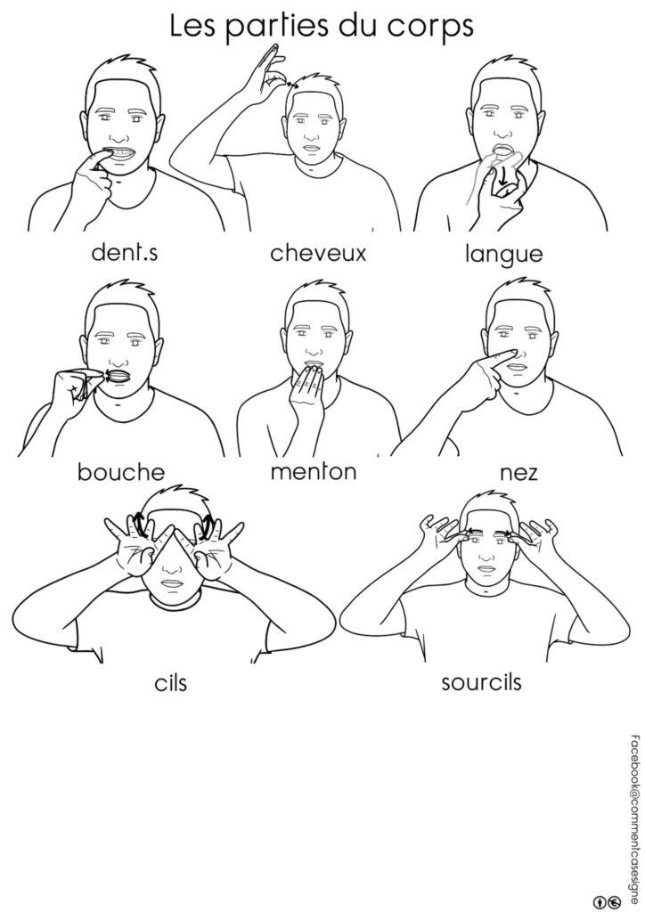 Le corps humain et les partes du visage en langue des signes française : épaules, tête, dos, ventre, bras, fesses, mains, jambes, pieds, sourcils cheveux, nez, dents, yeux, langue, oreilles, bouches, menton, cou