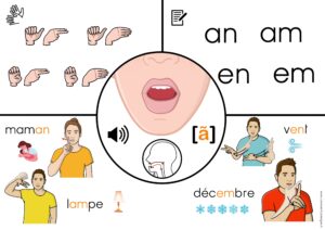 Supports de phonologie avec :  lecture labiale,  position de la langue, dactylologie, signes en LSF, son en phonétique mots écrits et images