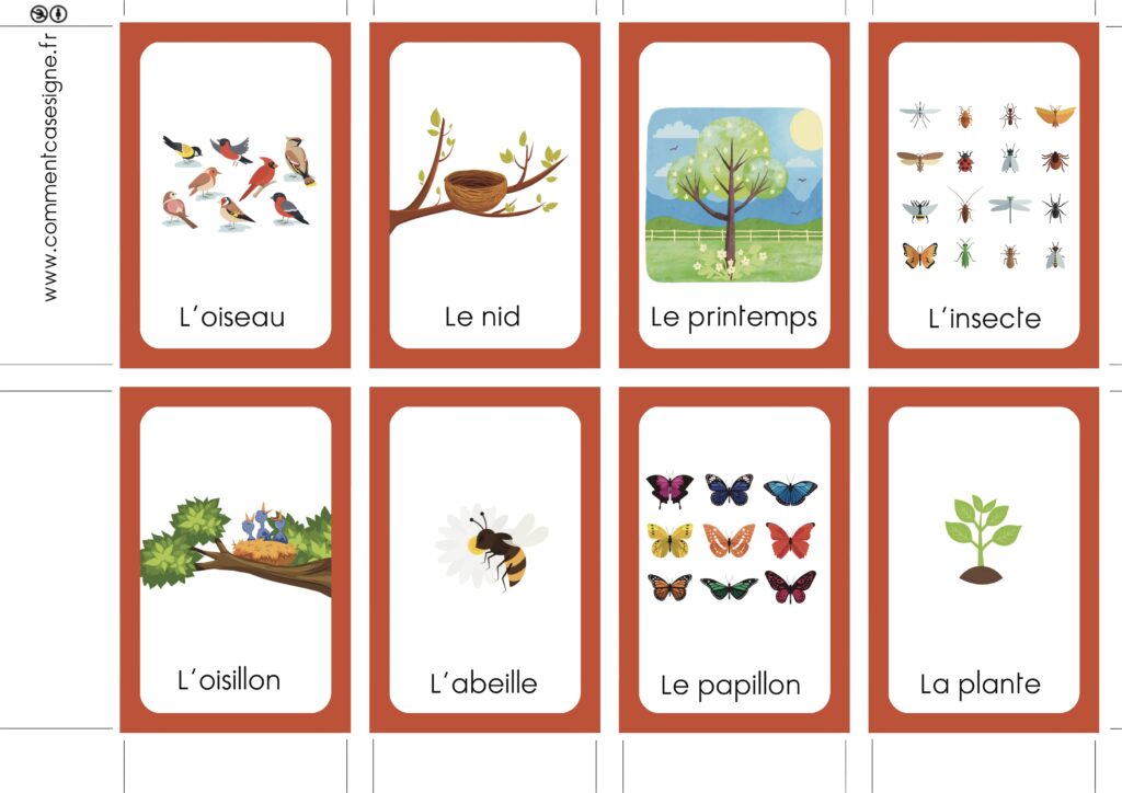 Le printemps en langue de signe française : insecte, arbre, nid, oiseau, fleur, bourgeon, oisillon, plante, papillon, pollen, saison, abeille, pousser, hirondelle, nature