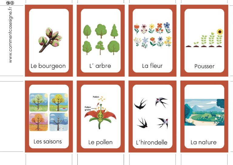 Le printemps en langue de signe française : insecte, arbre, nid, oiseau, fleur, bourgeon, oisillon, plante, papillon, pollen, saison, abeille, pousser, hirondelle, nature