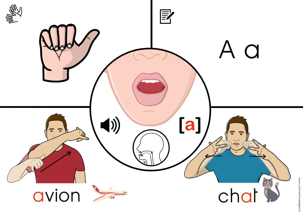 Supports de phonologie avec :  lecture labiale,  position de la langue, dactylologie, signes en LSF, son en phonétique mots écrits et images