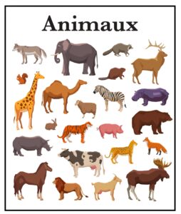 les animaux en LSF