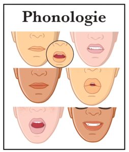 la phonologie
