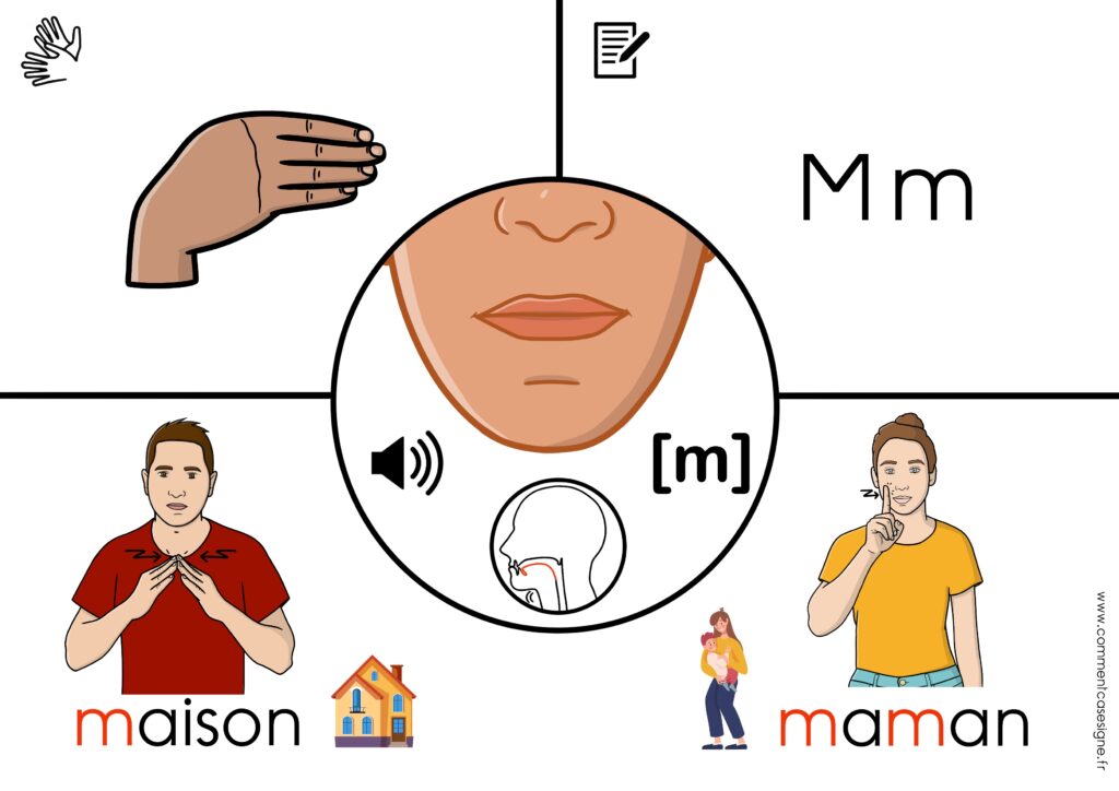 Supports de phonologie avec :  lecture labiale,  position de la langue, dactylologie, signes en LSF, son en phonétique mots écrits et images