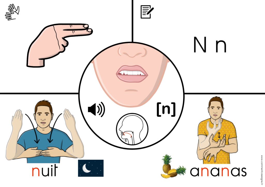 Supports de phonologie avec :  lecture labiale,  position de la langue, dactylologie, signes en LSF, son en phonétique mots écrits et images