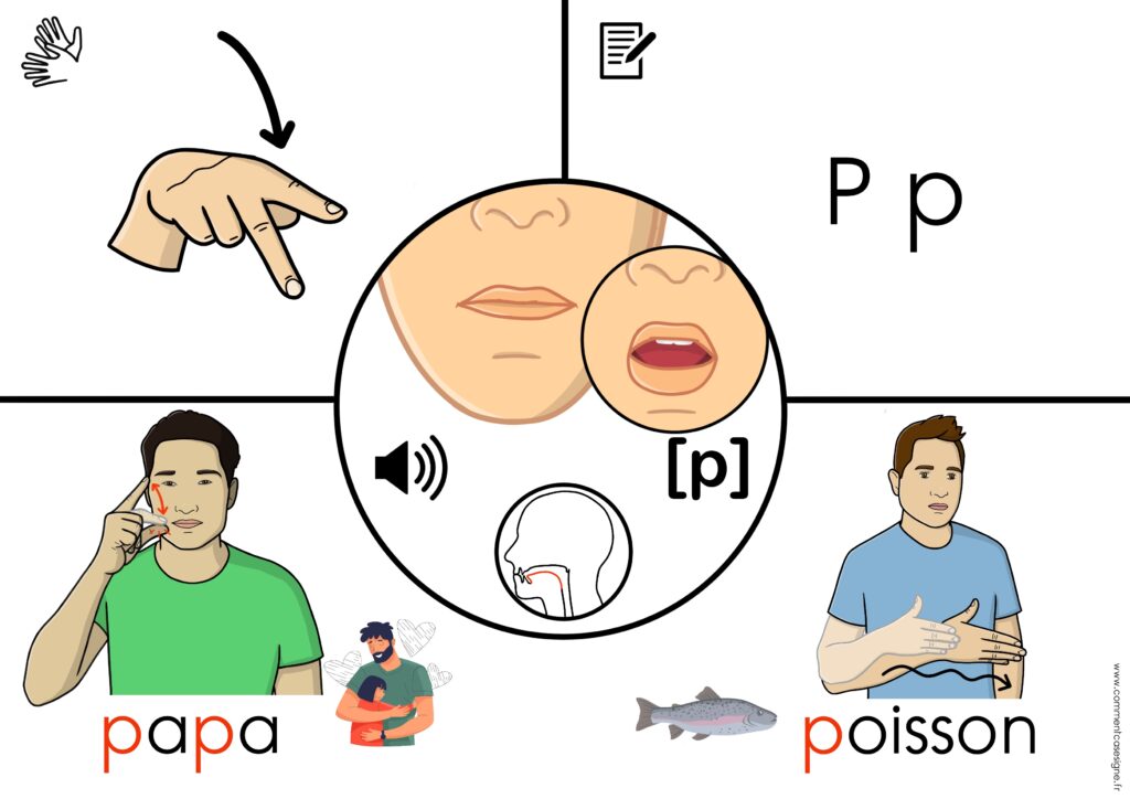 Supports de phonologie avec :  lecture labiale,  position de la langue, dactylologie, signes en LSF, son en phonétique mots écrits et images