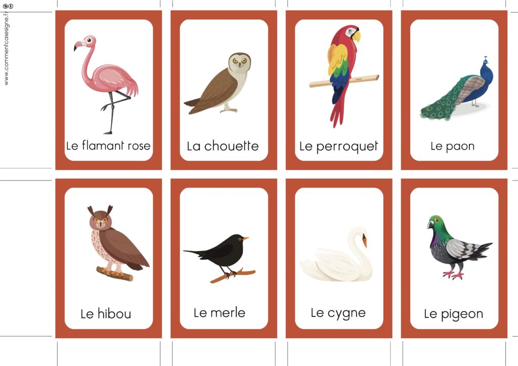 les oiseaux en langue de signes française : perroquet, corbeau, cygne, pigeon, chouette, paon, hibou, flamant rose, hirondelle, héron cendré, aigle, merle...