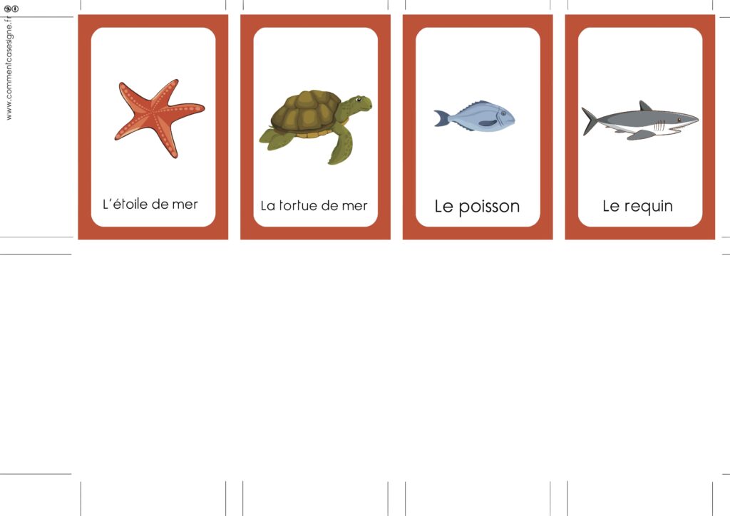 Les animaux aquatiques  Animal flashcards, French flashcards