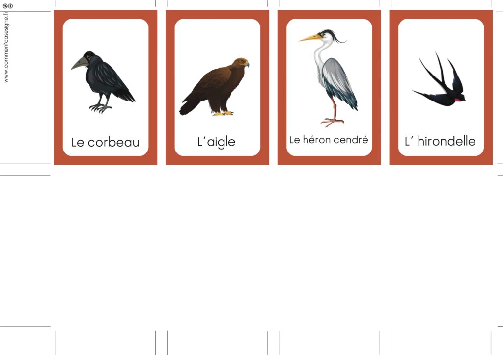 les oiseaux en langue de signes française : perroquet, corbeau, cygne, pigeon, chouette, paon, hibou, flamant rose, hirondelle, héron cendré, aigle, merle...