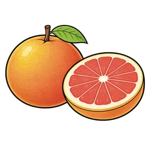 Pamplemousse Animation pamplemousse